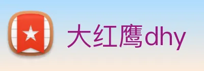 大红鹰dhy Logo